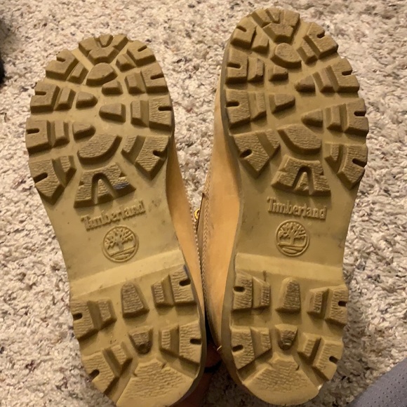 Timberland - Picture 5 of 5